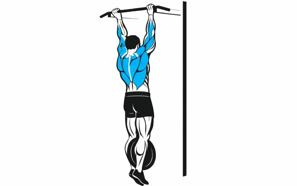 Illustration d'un athlète vu de dos en suspension à une barre de traction, avec un disque de poids suspendu entre ses jambes par une ceinture de lest